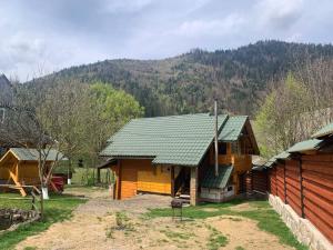 uma cabana de madeira com uma montanha ao fundo em Еко будинок в горах em Verkhniy Bystryy