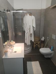 a bathroom with a sink and a shower and a toilet at Studio Cozy in Sali Tapé