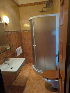 a bathroom with a shower and a toilet and a sink at Penzion Angelika in Bratislava +52 photos