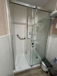 ducha con puerta de cristal y aseo en el baño en La Puerta del Valle en Villafranca del Bierzo