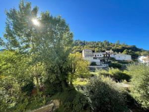 un albero seduto in cima a una collina accanto a un edificio di La Puerta del Valle a Villafranca del Bierzo