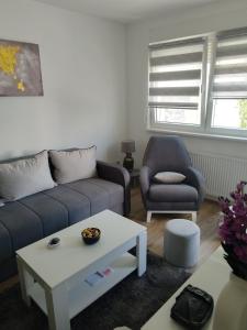 巴尼亚科维利亚查Апартман Љесковац的带沙发和椅子的客厅