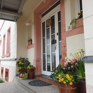 a front door of a house with pots of flowers at Honighof Vierk in Langenleuba-Niederhain