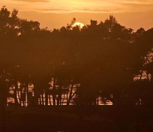 a sunset over a body of water with trees at Danver Apartment in Bar