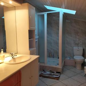 ein Bad mit einer Dusche, einem Waschbecken und einem WC in der Unterkunft Apartament rural 2/4 PAX Vallespir in Maureillas