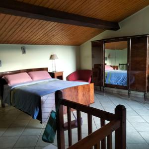 Schlafzimmer mit einem Bett und einem Spiegel in der Unterkunft Apartament rural 2/4 PAX Vallespir in Maureillas