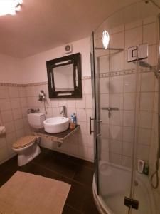 モンシャウにあるFerienwohnung Trudeのバスルーム(トイレ、洗面台、シャワー付)