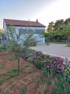 Gallery image of lastva 1&2 in Sveti Filip i Jakov