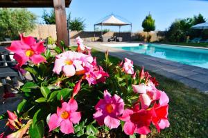 un mazzo di fiori rosa vicino alla piscina di Ferienhaus für 20 Personen in Cortona, Trasimenischer See a Cortona