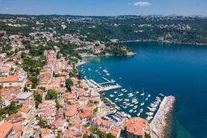 eine Luftansicht eines Hafens mit Booten im Wasser in der Unterkunft Ferienhaus für 10 Personen in Poljane, Kvarner Bucht Gespanschaft Priorje-Gorski in Opatija