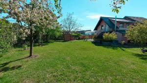 a yard with a tree and a house at DOUX Apartman in Odorheiu Secuiesc