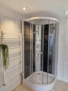 La salle de bains est pourvue d'une douche avec une porte en verre. dans l'établissement B&B Nature & U, à Voorthuizen