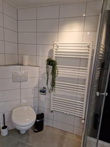 La salle de bains est pourvue de toilettes et d'une plante. dans l'établissement B&B Nature & U, à Voorthuizen