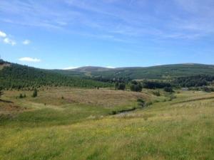 a green hillside with a field of grass and trees at Charmantes Ferienhaus in Tweedsmuir mit Grill und Garten in Polmood