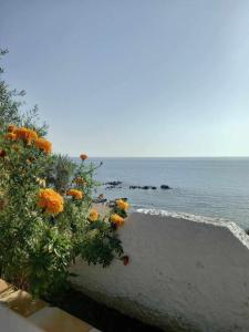 Gallery image of Villa Savvas in Paralia Vrachou