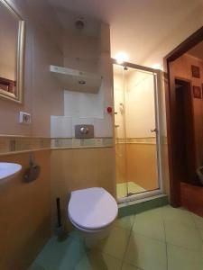 a bathroom with a toilet and a shower at Apartament centrum Gdynia Dąbrowa in Gdynia