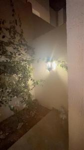 Gallery image of Haiat Villa in Riyadh