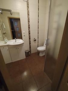 La salle de bains est pourvue de toilettes et d'un lavabo. dans l'établissement Nad Morzem 315, à Kołobrzeg