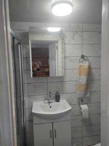 a bathroom with a sink and a mirror at House of Peace in Oxford