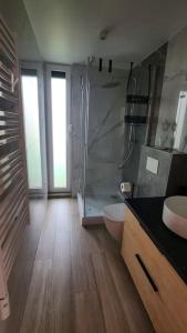 a bathroom with a shower and a toilet and a sink at Domki Skalne Miasto, Sokołowsko z balią i sauną in Mieroszów
