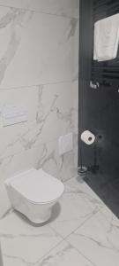 a white bathroom with a toilet and a shower at Czarna Perła Apartamenty Czarna Góra 402 in Sienna +11 photos
