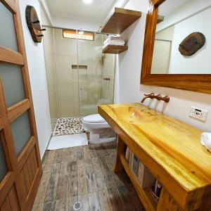 un bagno con un water, un lavandino e uno specchio di Zenith Bed & Breakfast a Pereira