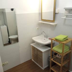 een badkamer met een wastafel, een spiegel en een toilet bij Petit repaire relaxant in Saint-Cyr-sur-Mer