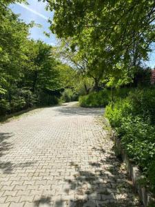 a brick road with trees on either side of it at Müstakil Bahçeli Ev (Bergamot) in Şile