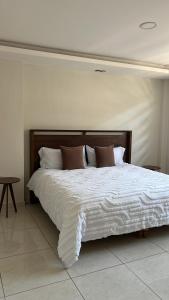 特帕蒂特蘭的住宿－Casa centro，卧室配有带棕色枕头的大型白色床
