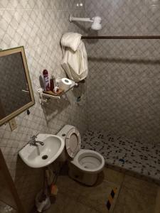 uma casa de banho com um WC e um lavatório em Joe's Layover Hostel Boquete em Boquete