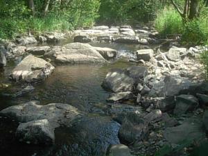 ein Wasserlauf mit Felsen und Bäumen in der Unterkunft Ferienwohnung für sechs Personen - b56987 in Medebach