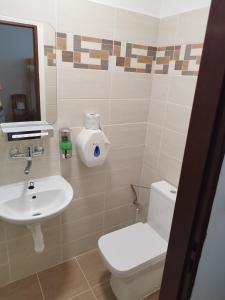a bathroom with a toilet and a sink at Penzion U Lipna in Přední Výtoň