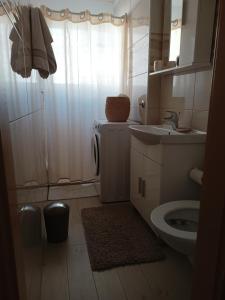 a small bathroom with a sink and a toilet at Apartment Luka in Fažana +21 photos