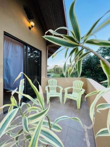 Dos sillas blancas en un porche con una planta en TRANQUILA CASA DE PLAYA, en Santa Cruz