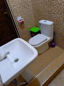 uma casa de banho com um lavatório branco e um WC. em Palm Grove lodge em Busua