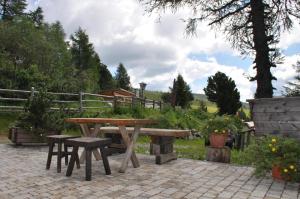 a picnic table and benches in a garden at Geräumige Wohnung über zwei Etagen mit Infrarotkabine in Falkertsee