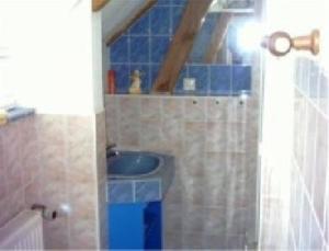 a bathroom with a sink and a blue tile wall at Appartement in Meiersberg mit Grill, Terrasse und Garten - b48747 in Grambin