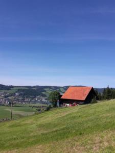 a barn on a hill with a green field at Fruehalp - b48505 in Unterägeri
