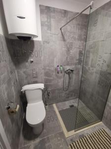 a bathroom with a shower with a toilet and a sink at In Apartments AirPort in Mitrovići