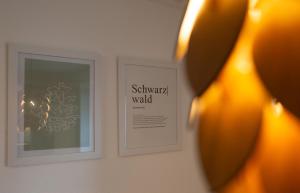 Gallery image of NEU Schwarzwald Apartment in Albbruck