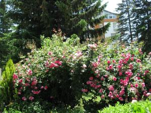 Zahrada ubytování Villa Jordan