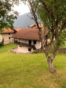 ein Haus auf einem Feld mit einem Baum in der Unterkunft Baita Irma - Miniappartamento in Madonna di Campiglio