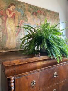 uma planta sentada em cima de uma cómoda com uma pintura em 410 Reasons For Back em Cerea