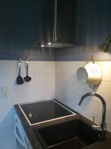 a kitchen counter with a sink and a lamp at Schönes Appartement in Zierzow mit Grill, Terrasse und Garten in Sietow