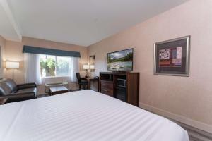 Μια τηλεόραση ή/και κέντρο ψυχαγωγίας στο Prestige Cranbrook Hotel, BW Premier Collection
