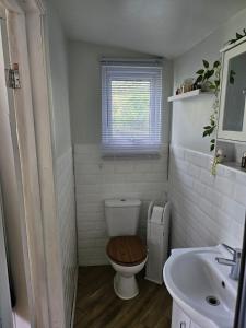 a bathroom with a toilet and a sink at Remarkable 1-Bed Cabin in Dunmow in Great Dunmow
