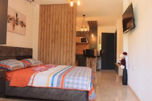 ein Schlafzimmer mit einem Bett und einem TV in einem Zimmer in der Unterkunft Apartman Lile Raca in Ohrid
