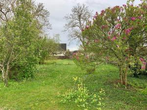 un champ d'herbe planté d'arbres et de fleurs roses dans l'établissement Maison au calme * parking privé * wifi, à Villemandeur