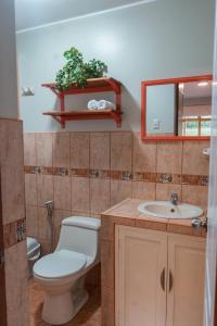 W łazience znajduje się toaleta, umywalka i lustro. w obiekcie Casa Alojamiento Tocllaraju w mieście Tarica