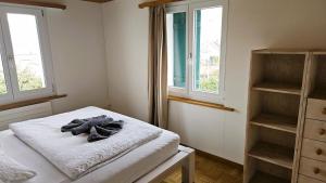 Habitación con 1 cama y 2 ventanas en MBar Apartment, en Altnau